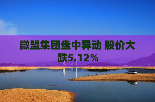 微盟集团盘中异动 股价大跌5.12%