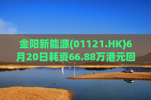 金阳新能源(01121.HK)6月20日耗资66.88万港元回购17.8万股