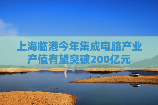 上海临港今年集成电路产业产值有望突破200亿元