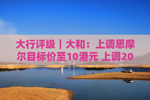 大行评级｜大和：上调思摩尔目标价至10港元 上调2024至26年盈测  第1张