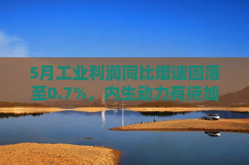 5月工业利润同比增速回落至0.7%，内生动力有待加强  第1张