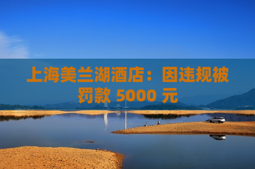 上海美兰湖酒店：因违规被罚款 5000 元  第1张