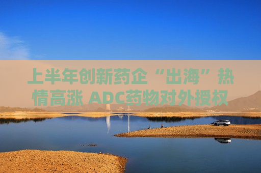 上半年创新药企“出海”热情高涨 ADC药物对外授权交易受关注  第1张