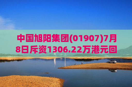 中国旭阳集团(01907)7月8日斥资1306.22万港元回购438万股  第1张