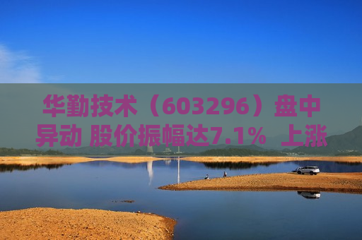 华勤技术（603296）盘中异动 股价振幅达7.1%  上涨6.94%（07-09）