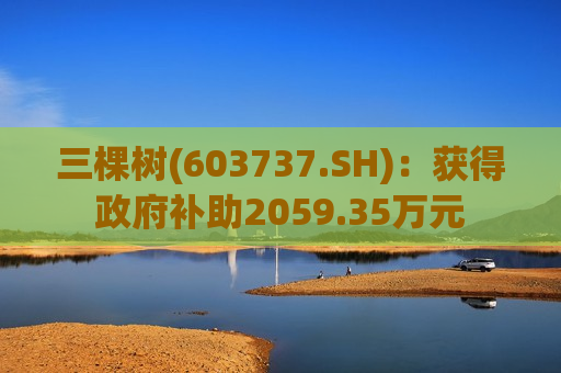 三棵树(603737.SH)：获得政府补助2059.35万元