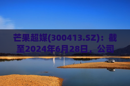 芒果超媒(300413.SZ)：截至2024年6月28日，公司股东总数为66102  第1张