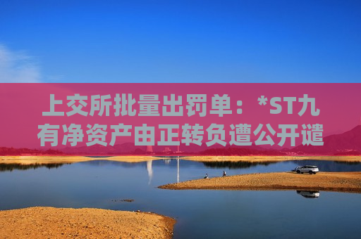 上交所批量出罚单：*ST九有净资产由正转负遭公开谴责，太原重工审计机构及4名会计师遭警示