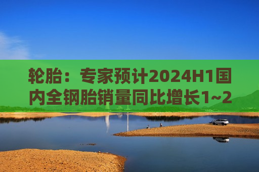 轮胎：专家预计2024H1国内全钢胎销量同比增长1~2% 半钢胎销量同比增长超10%  第1张