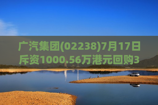 广汽集团(02238)7月17日斥资1000.56万港元回购348.6万股  第1张