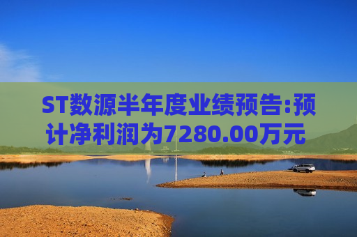 ST数源半年度业绩预告:预计净利润为7280.00万元 ~ 1.09亿元,预计增幅为73.58% ~ 160.37%