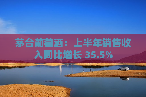 茅台葡萄酒：上半年销售收入同比增长 35.5%  第1张