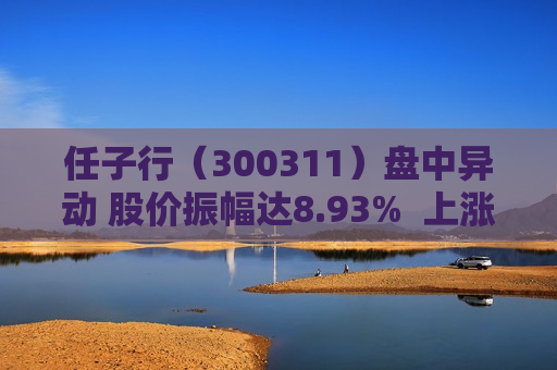 任子行（300311）盘中异动 股价振幅达8.93%  上涨5.96%（07-29） 第1张