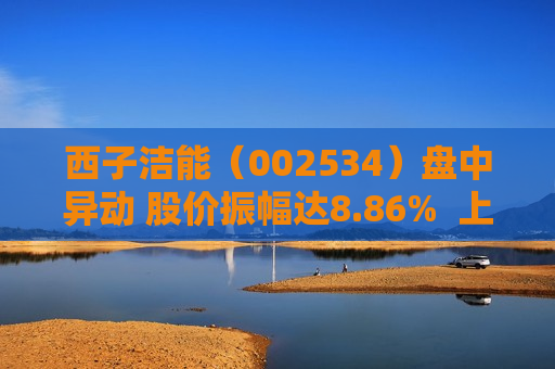 西子洁能（002534）盘中异动 股价振幅达8.86%  上涨8.07%（07-22）