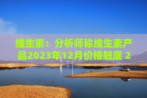 维生素：分析师称维生素产品2023年12月价格触底 2024年涨幅较大