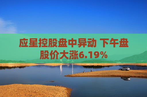 应星控股盘中异动 下午盘股价大涨6.19%