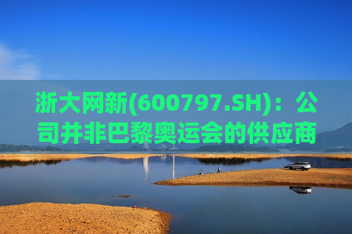 浙大网新(600797.SH)：公司并非巴黎奥运会的供应商