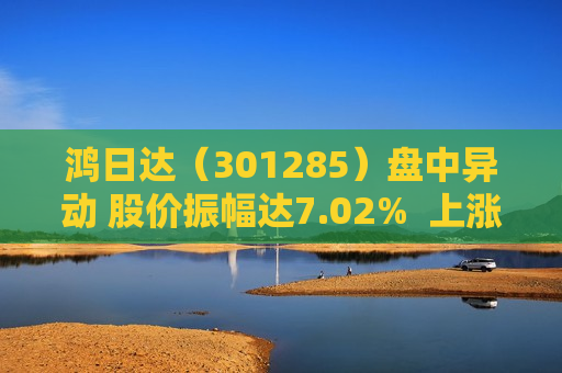 鸿日达（301285）盘中异动 股价振幅达7.02%  上涨6.93%（08-09）