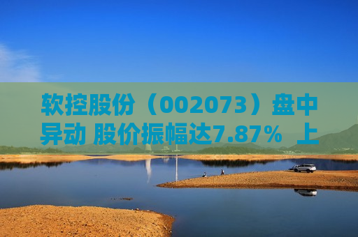 软控股份（002073）盘中异动 股价振幅达7.87%  上涨7.1%（07-31）