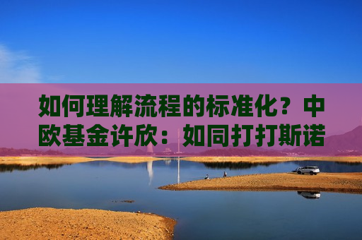 如何理解流程的标准化？中欧基金许欣：如同打打斯诺克，职业选手的长期训练减少偏差概率  第1张