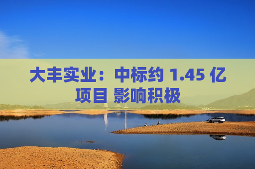 大丰实业：中标约 1.45 亿项目 影响积极  第1张