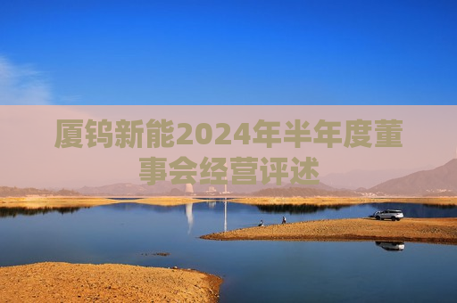 厦钨新能2024年半年度董事会经营评述