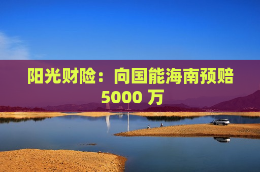 阳光财险：向国能海南预赔 5000 万  第1张