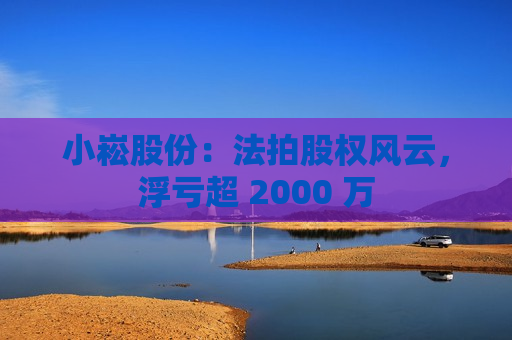 小崧股份：法拍股权风云，浮亏超 2000 万