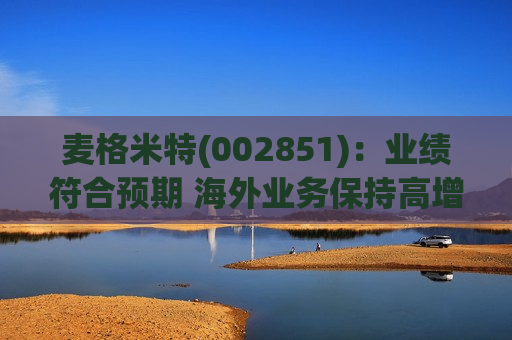 麦格米特(002851)：业绩符合预期 海外业务保持高增速