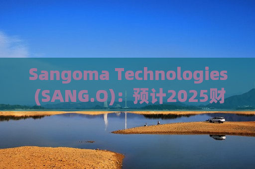 Sangoma Technologies (SANG.O)：预计2025财年收入在2.5亿至2.6亿美元之间  第1张