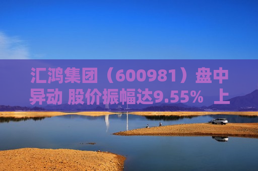 汇鸿集团（600981）盘中异动 股价振幅达9.55%  上涨8.43%（09-24）