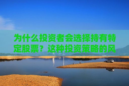 为什么投资者会选择持有特定股票？这种投资策略的风险和回报如何评估？  第1张