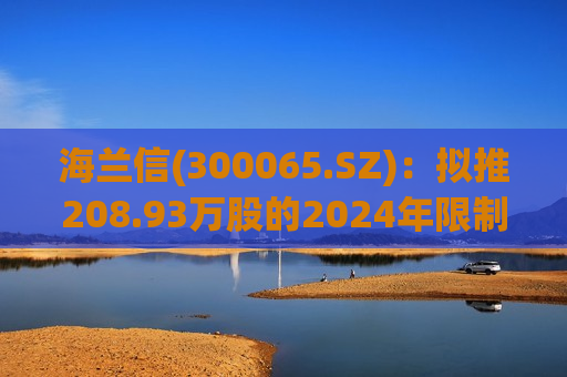 海兰信(300065.SZ)：拟推208.93万股的2024年限制性股票激励计划