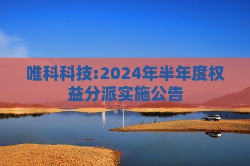 唯科科技:2024年半年度权益分派实施公告  第1张