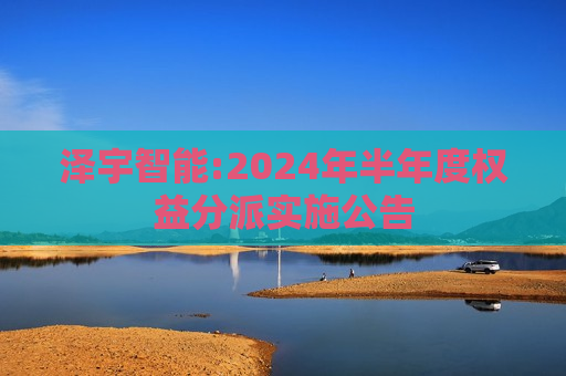 泽宇智能:2024年半年度权益分派实施公告  第1张