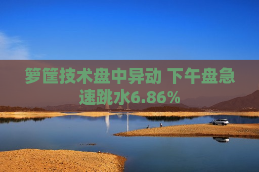 箩筐技术盘中异动 下午盘急速跳水6.86%  第1张