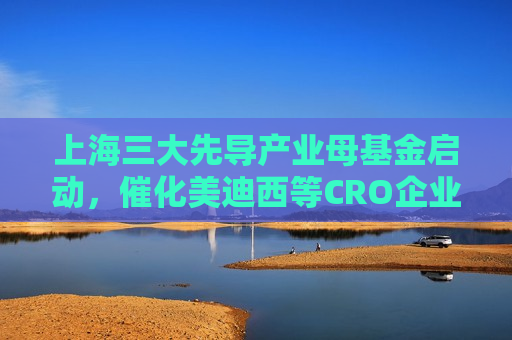 上海三大先导产业母基金启动，催化美迪西等CRO企业科技创新迎新机遇  第1张