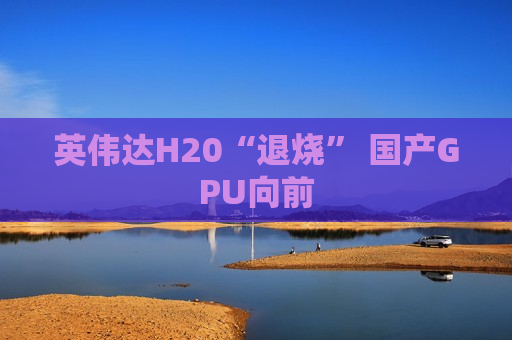 英伟达H20“退烧” 国产GPU向前  第1张