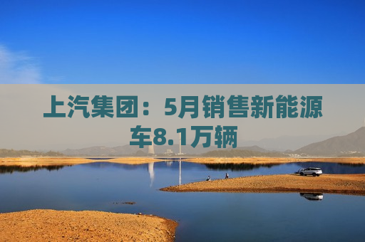 上汽集团：5月销售新能源车8.1万辆  第1张