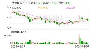 大智慧：2024年上半年净亏损1.38亿元