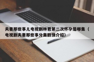 夫妻那些事儿电视剧林君第二次怀孕是哪集（电视剧夫妻那些事分集剧情介绍）