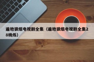 遍地狼烟电视剧全集（遍地狼烟电视剧全集28杨烁）