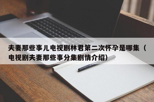 夫妻那些事儿电视剧林君第二次怀孕是哪集（电视剧夫妻那些事分集剧情介绍）  第1张