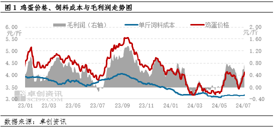 鸡蛋：上半年蛋、料双降 养殖盈利同比减少  第3张